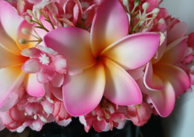 couronne de fleurs Tahiti rose pâle trois tipanie bords roses cœur jaune by Vaite.e.Tiare créations