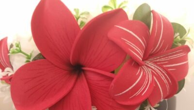 couronne de tête blanche by Vaite.e.Taire créations avec un grand frangipanier rouge uni et deux frangipaniers moyens rainurés