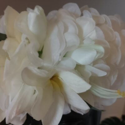 couronne de fleur  blanche mariée  tipanie lys élancés boutons blancs