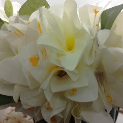 couronne de fleur blanche mariée avec tipanie et bougainvilliers