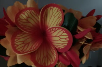 couronne florale de tête avec fleurs de Tahiti rouge avec lys moyens rouges et lys élancés orangés by Vaite.e.Tiare créations