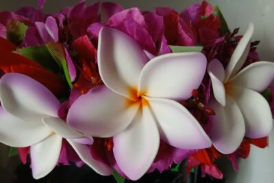 couronne fleurs de Tahiti fuchsia bouquet bougainvillier violet et trois tipanie blanc bords mauve by Vaite.e.Tiare créations