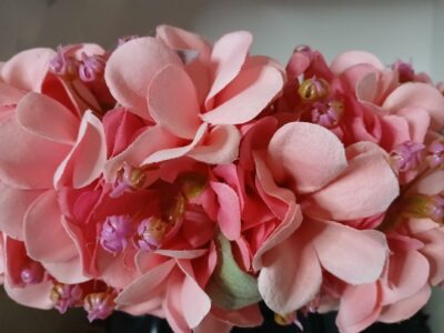 Couronne de fleurs Tahiti corail avec tipanie rose by Vaite.e.Tiare créations