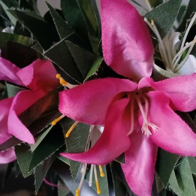 Couronne toutes fleurs Tahiti effet végétal lys fuchsia flamboyant blanc