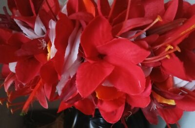 Couronne toutes fleurs blanches tipanie et lys élancé rouges avec oiseau du paradis by Vaite.e.Tiare créations