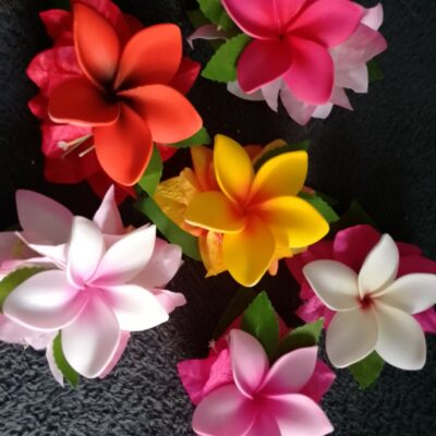 Po’ara, pince à cheveux,  modèle moyen tipanie et bougainvilliers
