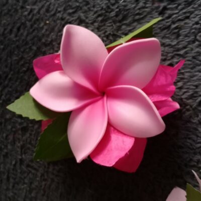 Po’ara, pince à cheveux,  modèle moyen tipanie et bougainvilliers