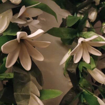 Duo de lei végétal de Cérémonie avec cinq tiare chacun et multiples boutons