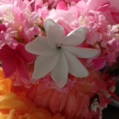 Couronne fleur Tahiti rose grande tiare deux tipanie différents