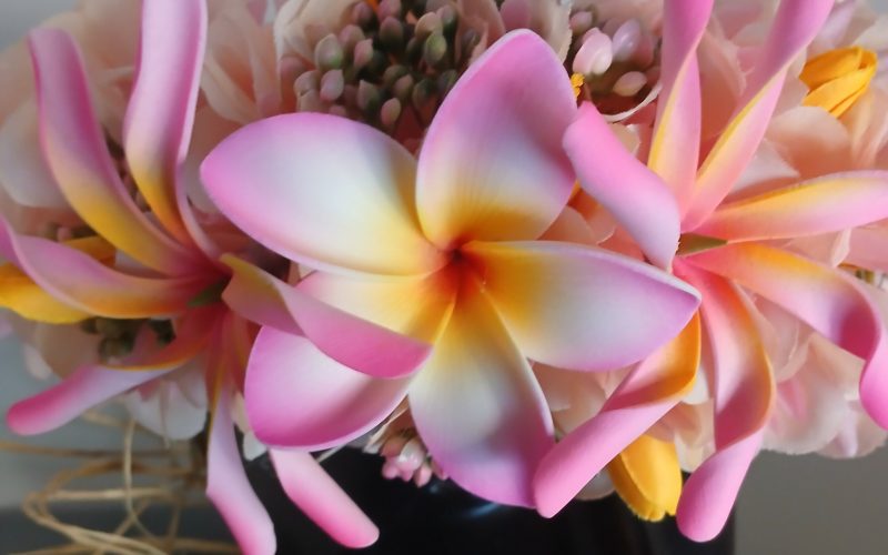 Couronne champagne et rose deux maxi tiare tipanie bords roses Vaite.e.Tiare créations