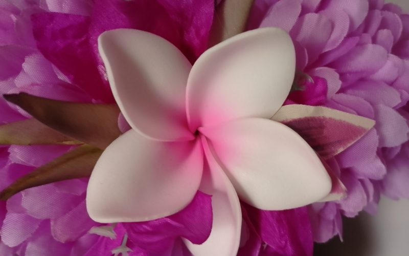 Couronne fleurs Tahiti mauve tipanie blanc cœur rose bougainvillier violet Vaite.e.Tiare créations