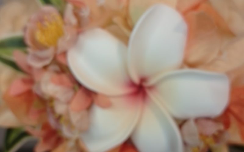 Couronne fleurs Tahiti champagne grand tipanie cœur litchi bougainvillier orange Vaite.e.Tiare créations
