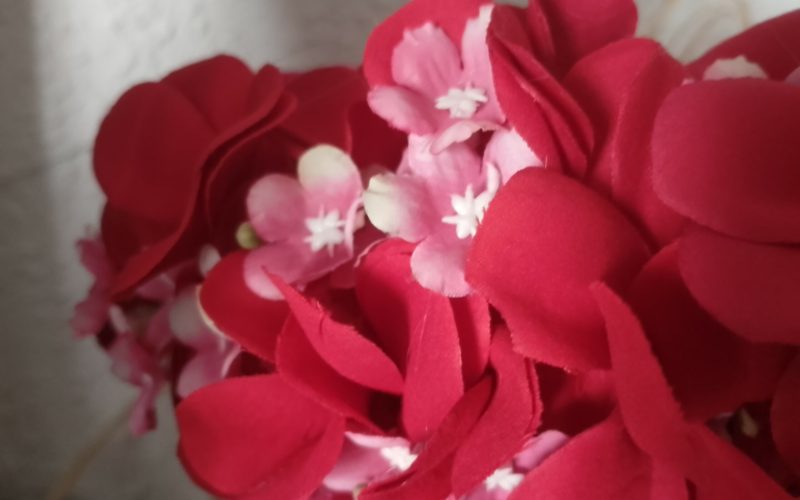 couronne de fleurs Tahiti fuchsia avec tipanie rouge et boutons rose by Vaite.e.Tiare créations