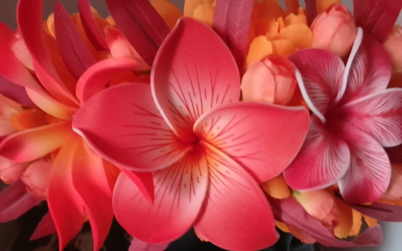 Couronne fleurs Tahiti orange maxi tiare deux tipaniers différents Vaite.e.Tiare créations
