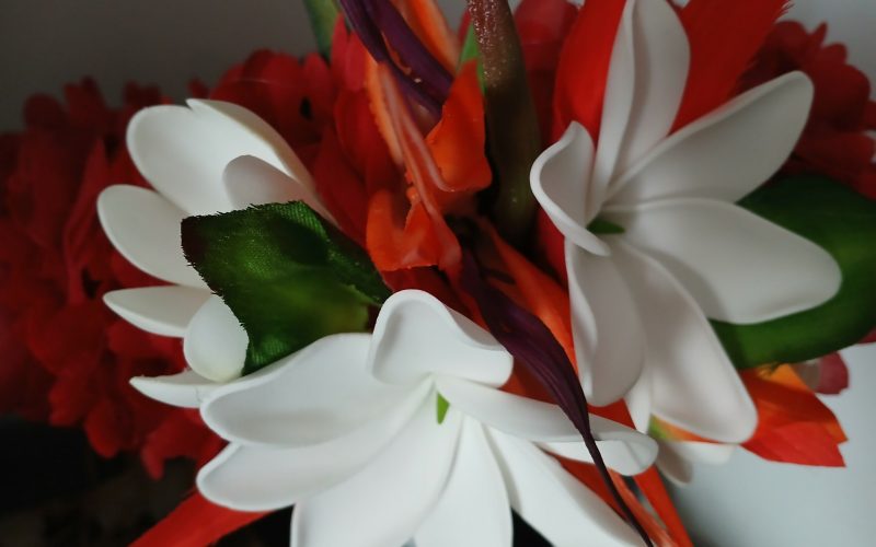 Couronne de fleurs Tahiti rouge 4 tiare Tahiti et oiseau du paradis