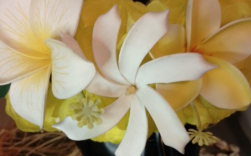 Couronne fleur Tahiti jaune tiare et deux tipanie différents Vaite.e.Tiare créations