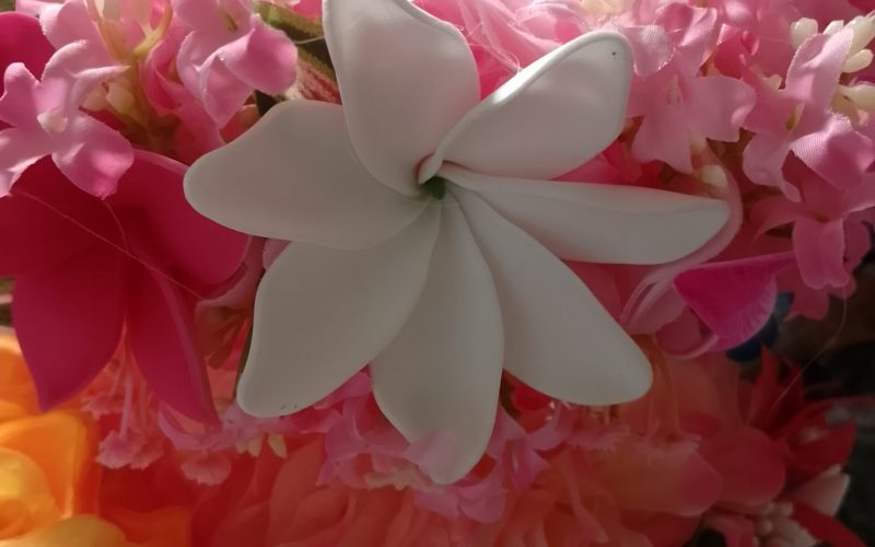 Couronne fleur Tahiti rose grande tiare deux tipanie différents by Vaite.e.Tiare créations