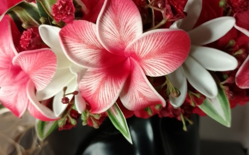Couronne fleur Tahiti rouge deux tiare trois tipanie rainurés Vaite.e.Tiare créations