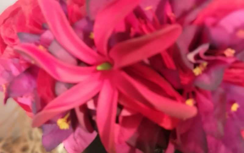 Couronne fleur Tahiti rouge bougainvillier prune maxi tiare Vaite.e.Tiare créations