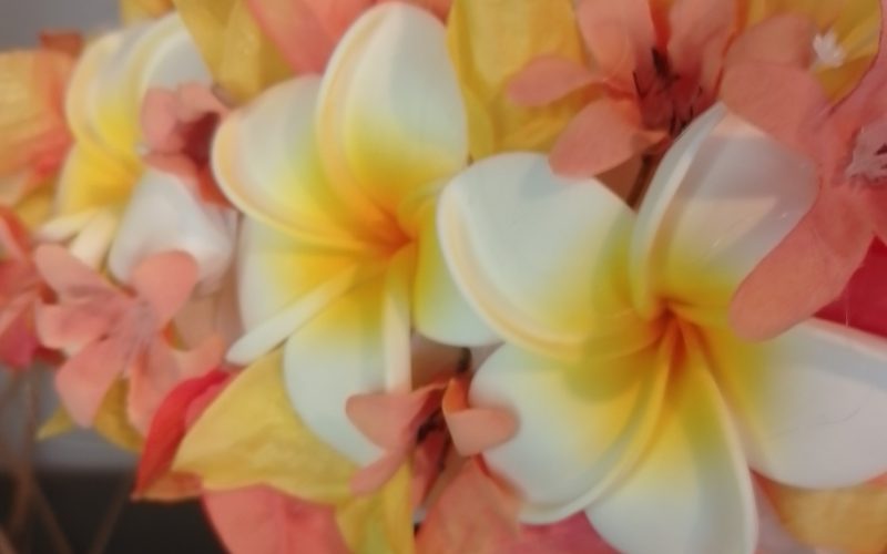 Couronne fleurs Tahiti blanche trois tipanie blancs cœur jaune bougainvillier orange Vaite.e.Tiare créations
