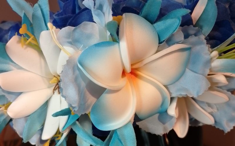 Couronne fleurs Tahiti camaïeu de bleus tiare élégante tipanie blanc bords bleus tiare entre ouverte Vaite.e.Tiare créations