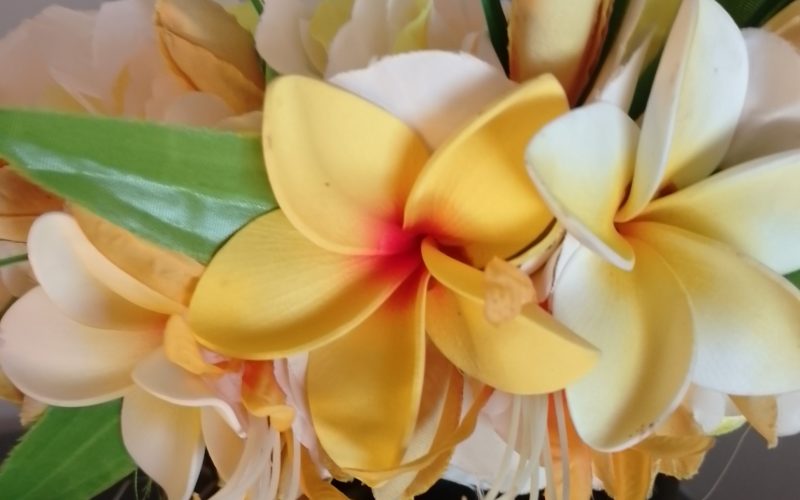 Couronne fleurs Tahiti champagne et jaune trois tipanie jaunes Vaite.e.Tiare créations