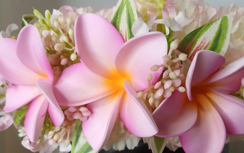 Couronne fleurs Tahiti champagne rosée 3 tipanie roses Vaite.e.Tiare créations