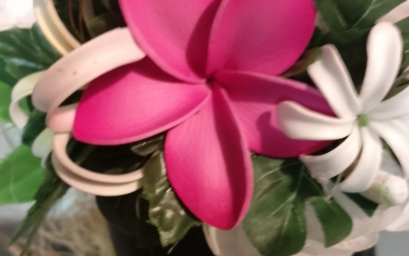 Couronne fleur Tahiti blanche deux tiare tipanie fuchsia Viate.e.Tiare créations