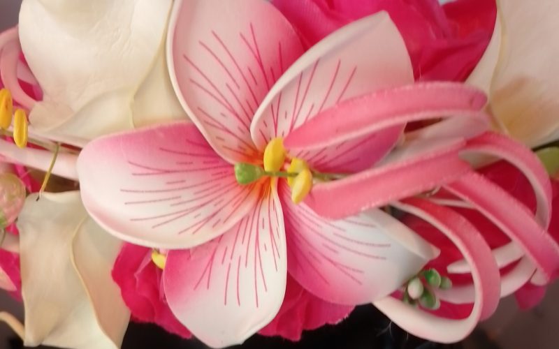 Couronne fleurs Tahiti rose fuchsia maxi tipanie grand lys élancés arum Vaite.e.Tiare créations