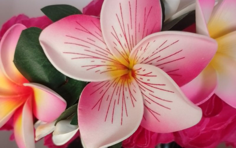 Couronne fleurs Tahiti fuchsia grand tipanie deux tiare deux tipanie Vaite.e.Tiare créations