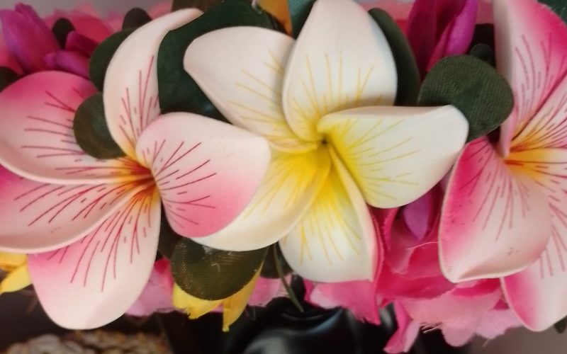 Couronne fleurs Tahiti rose et fuchsia trois maxi tipanie rainurés Vaite.e.Tiare créations