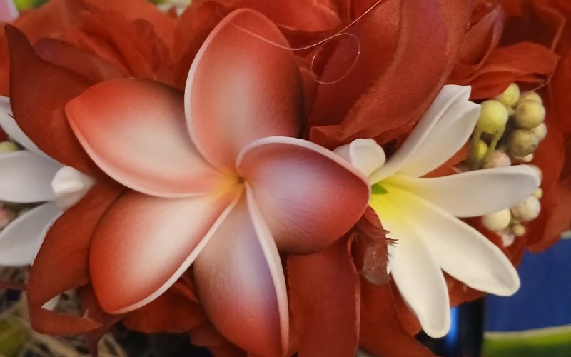 Couronne fleurs Tahiti rouge deux tiare entre ouvertes tipanie blanc bords rouge Vaite.e.Tiare créations