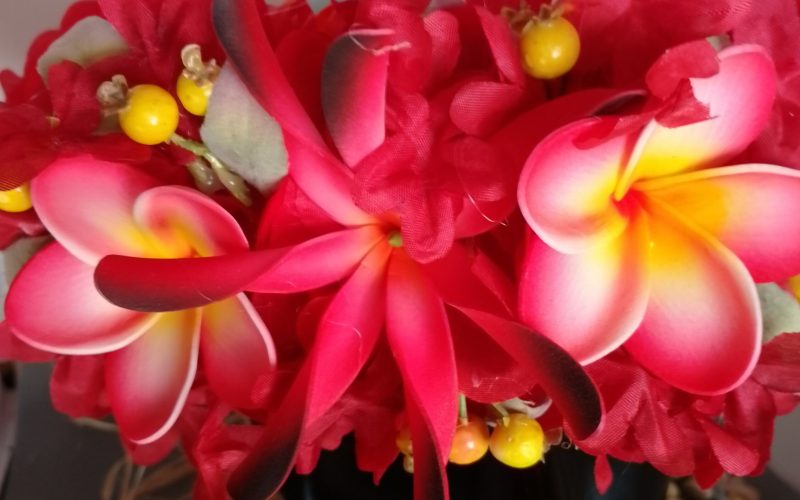 Couronne fleurs Tahiti rouge maxi tiare deux tipanie blancs bords rouges Vaite.e.Tiare créations