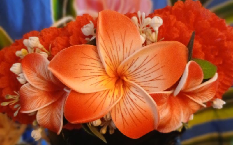 Couronne fleurs Tahiti rouge maxi tipanie maxi tiare tipanie rainuré Vaite.e.Tiare créations