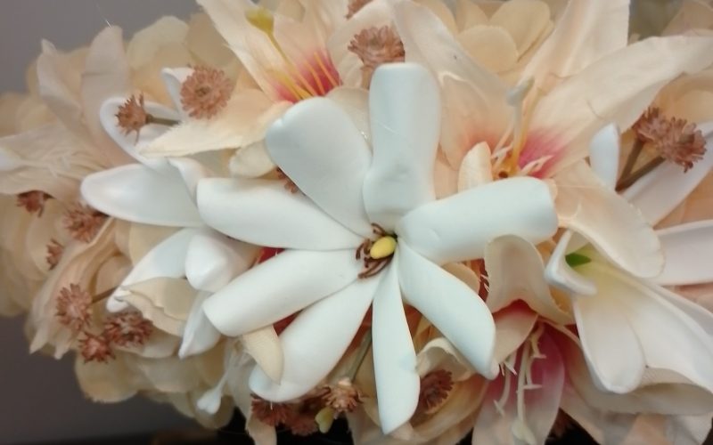 Couronne tiare Tahiti champagne élégante tiare deux tiare entre ouvertes Vaite.e.Tiare créations
