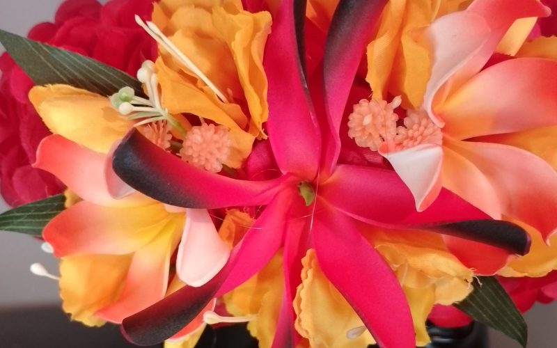 Couronne tiare Tahiti rouge maxi tiare deux tiare entre ouvertes Vaite.e.Tiare créations