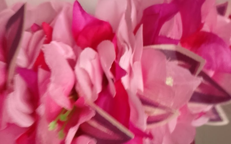 Couronne toute fleur Tahiti bougainvillier rose pâle et fuchsia Vaite.e.Tiare créations