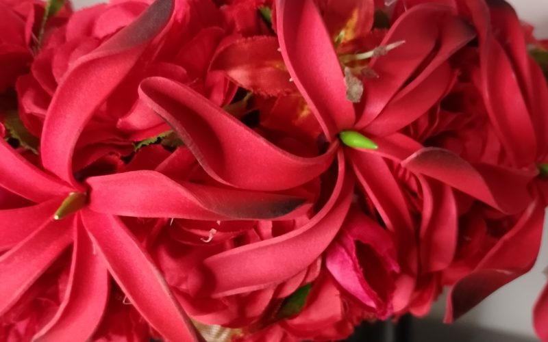 Couronne toute fleur Tahiti rouge corolle de roses rouges trois maxi tiare Vaite.e.Tiare créations