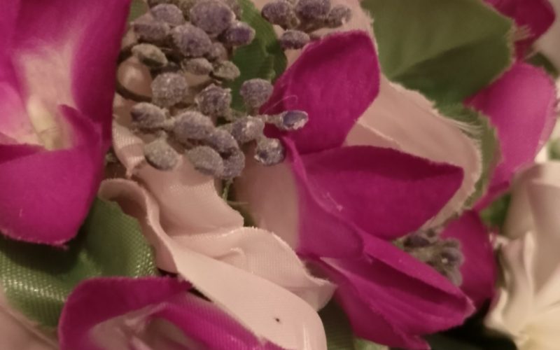 Couronne toute fleur champagne rosé corolle tipanie violets Vaite.e.Tiare créations