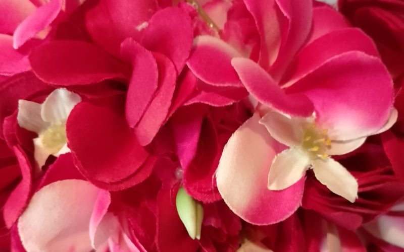 Couronne toute fleur fuchsia tipanie rouge et fuchsia Vaite.e.Tiare créations