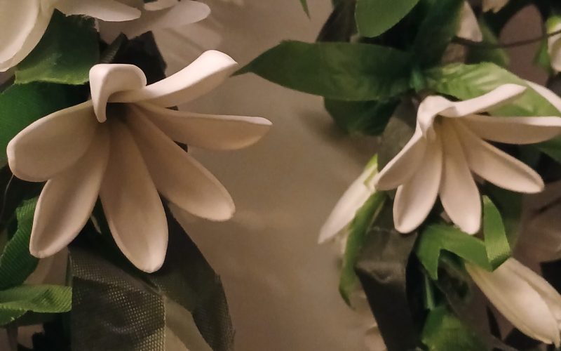 Duo de lei végétal de Cérémonie avec cinq tiare chacun et multiples boutons Vaite.e.Tiare créations