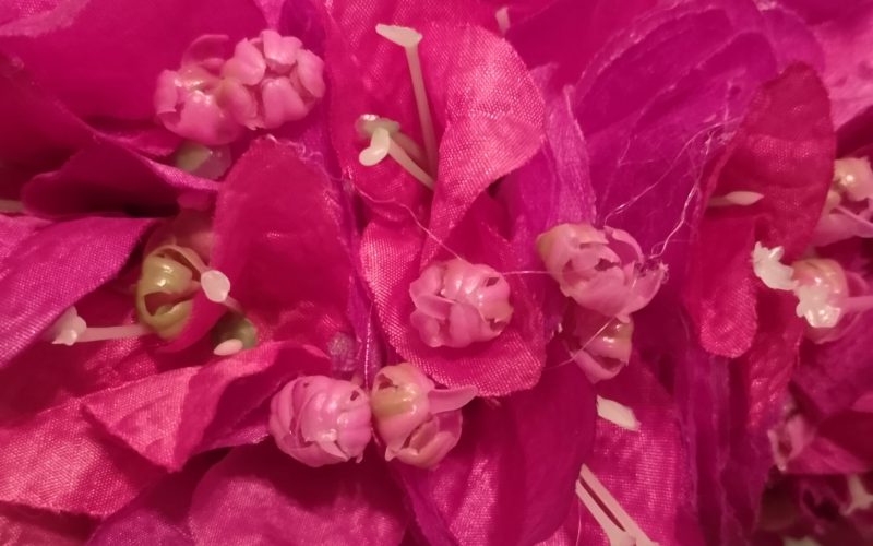 Fine couronne de fleurs Tahiti violette trois tons de bougainvilliers assortis Vaite.e.Tiare créations