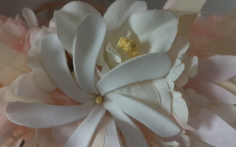 couronne de fleur vanille fraise avec feuillages assortis et tiare sur orchidées crème by Vaite.e.Tiare créations