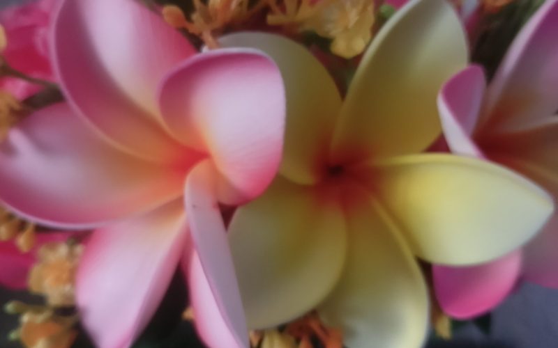 couronne de fleurs Tahiti fuchsia avec bouquet de tipanie varié et gypsophile by Vaite.e.Tiare
