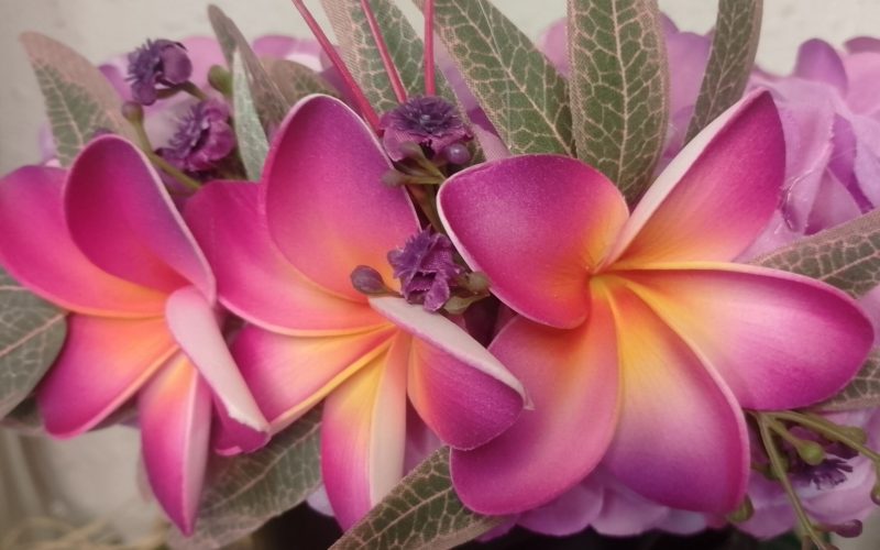 couronne de fleurs Tahiti mauve avec trois tipanie sur feuillage rosé by Vaite.e.Tiare créations