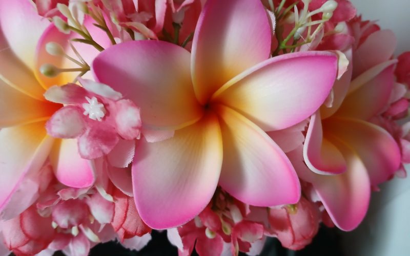couronne de fleurs Tahiti rose pâle trois tipanie bords roses cœur jaune by Vaite.e.Tiare créations
