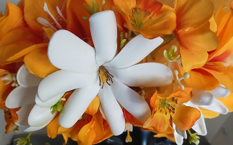 couronne fleurs Tahiti champagne tiare entre ouverte et tiare Vaite.e.Tiare créations
